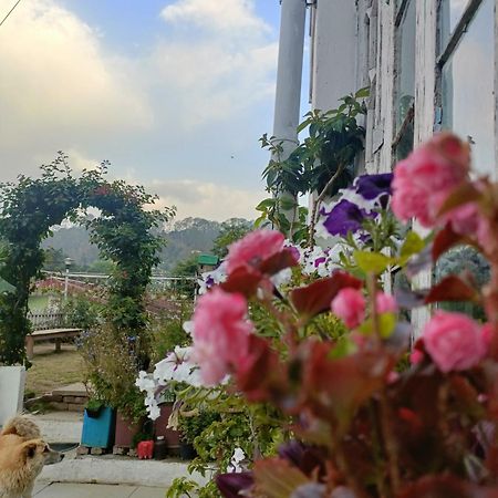 Mohraj Home Stay Bhowali Buitenkant foto