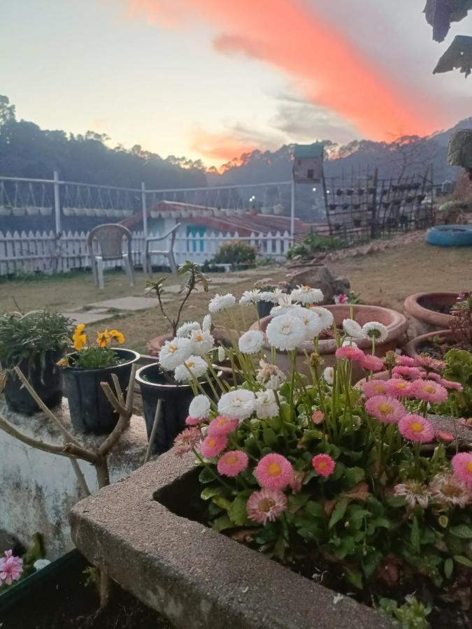 Mohraj Home Stay Bhowali Buitenkant foto