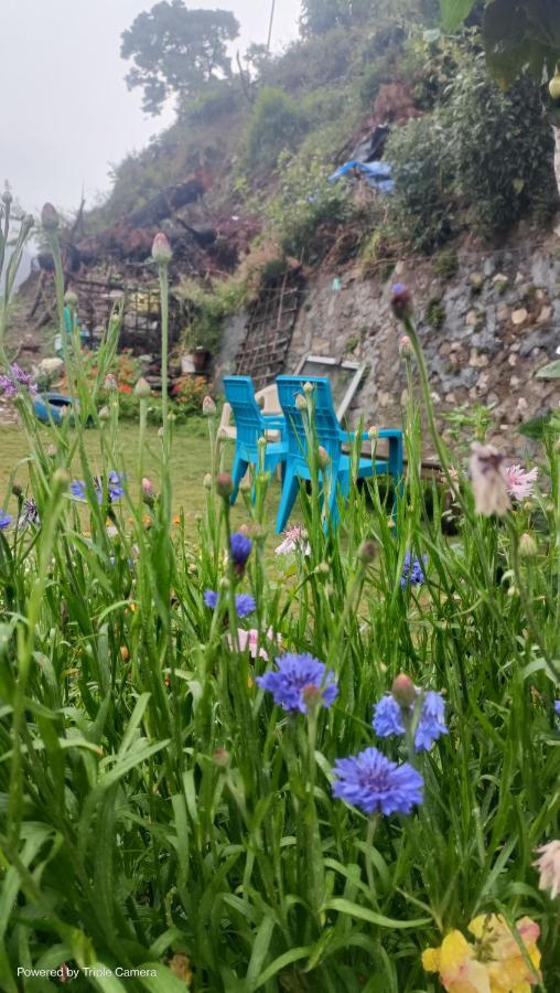 Mohraj Home Stay Bhowali Buitenkant foto