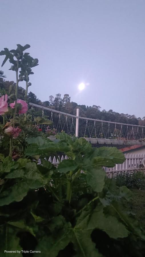 Mohraj Home Stay Bhowali Buitenkant foto
