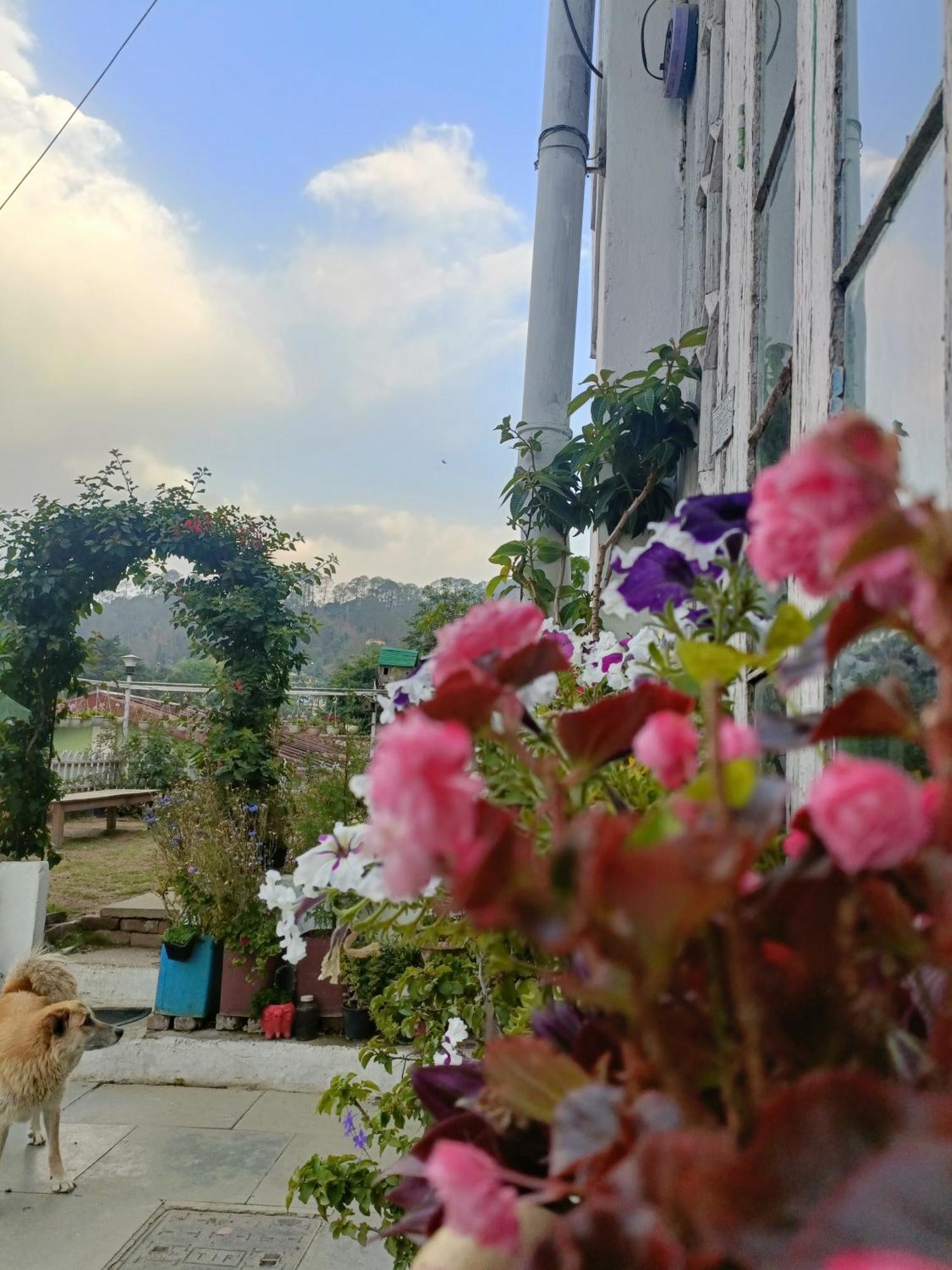 Mohraj Home Stay Bhowali Buitenkant foto